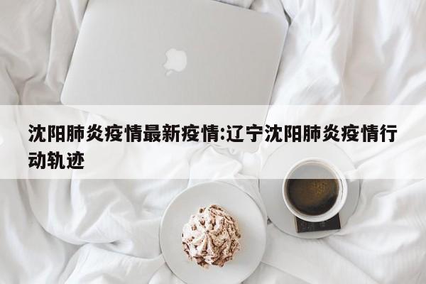 沈阳肺炎疫情最新疫情:辽宁沈阳肺炎疫情行动轨迹
